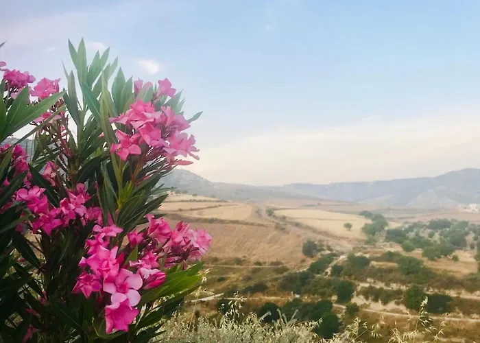 Panoramic Holidays * Pegeia